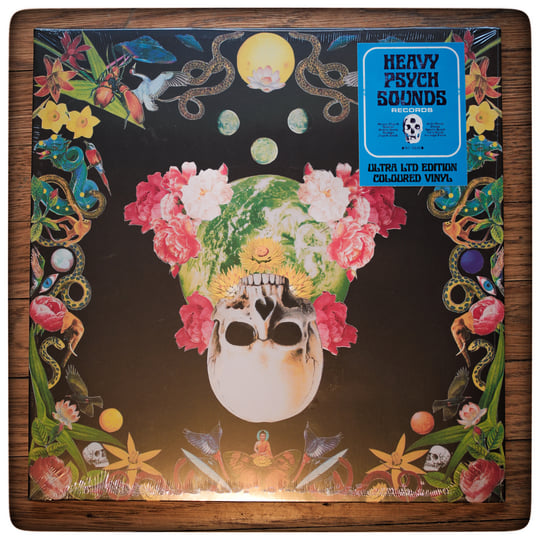 Helichrysum | Hippie Death Cult