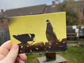 Horsbere Postcards photo 