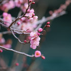 【レア】Eric la casa「secousses panoramiques」 a0167164789_5.jpg