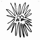 アルゼンチンLP Various Viento Sur - Experimental &amp; Fusion Music from Argen VAMPI257 Vampi Soul /00260 Viento Sur - Experimental & Fusion Music from Argentina, A