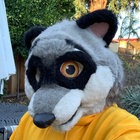 pepemapache thumbnail