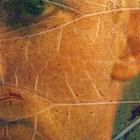 Peter Klein thumbnail
