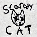 Scaredy Cat — Photo