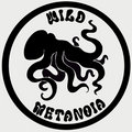 Wild Metanoia image