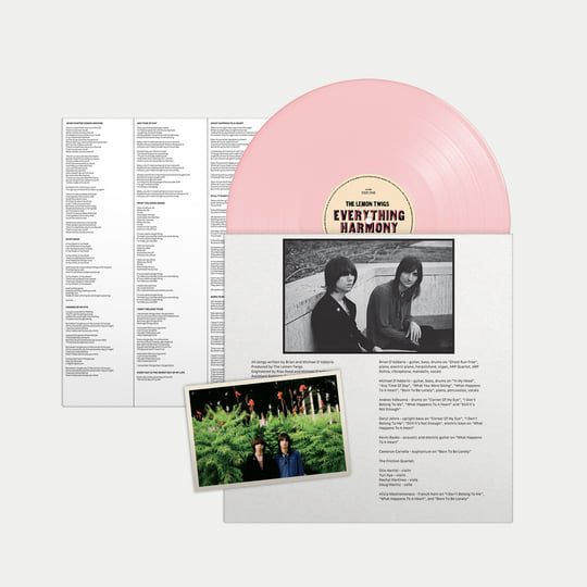 Everything Harmony | The Lemon Twigs Everything Harmony | The Lemon Twigs