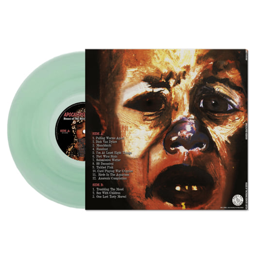 Vinyl Album Cover Art 洋書 ca461f3bec5ce198964d19de24dbf5