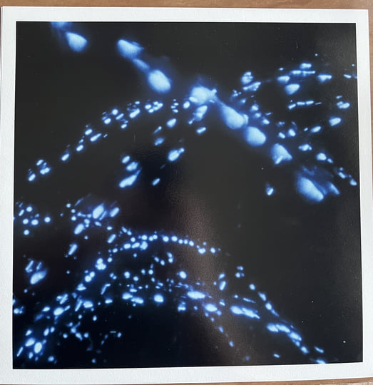 Feux D'artifice Sur New York Photo Stock - Image Du Lumière, Pétard