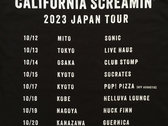 Japan Tour TShirt photo 