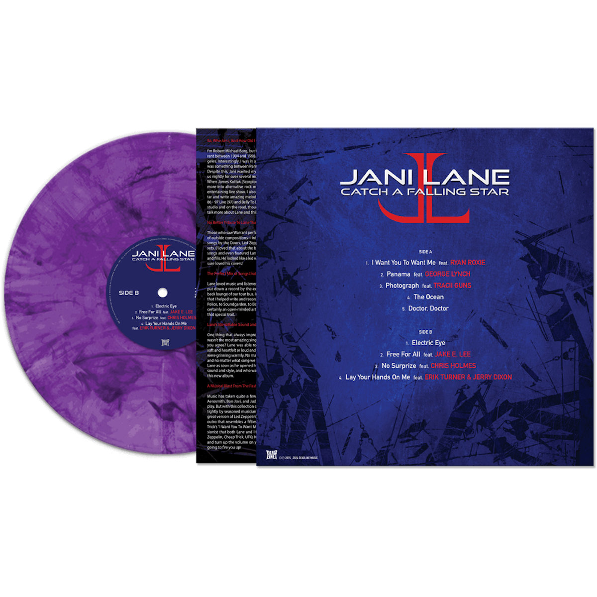 希少　ダグハイド「Catch a Falling Star」 オブジェ Catch A Falling Star | Jani Lane