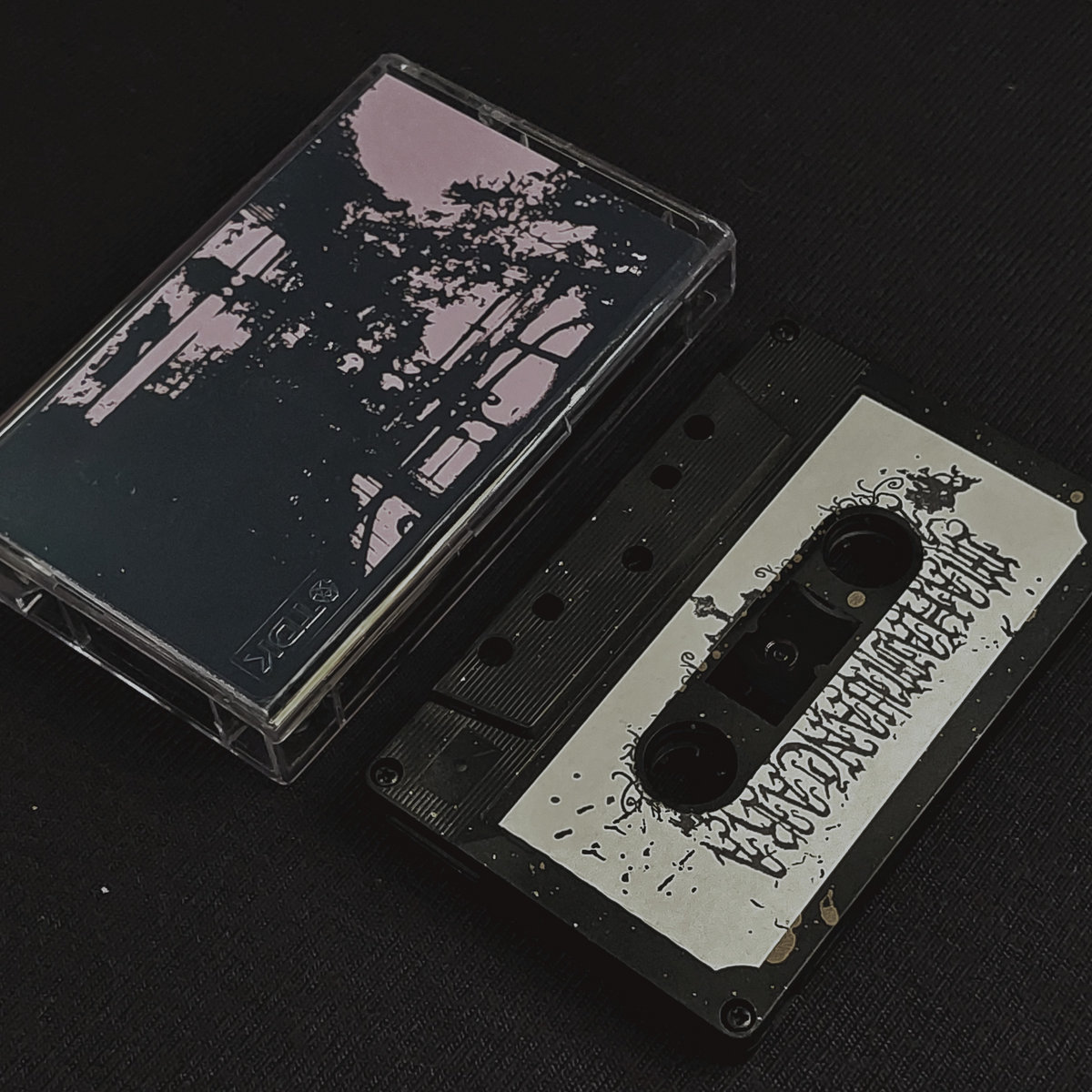 Forbidden Music Rotten Behrens-Rotten Inscriptions Forgotten in Secrecy | 𝐆𝐫𝐨𝐥𝐥𝐡𝐞𝐢𝐦 ...