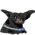 Justin Huskey thumbnail