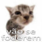 0rd3p47 thumbnail