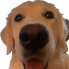 olliollomat thumbnail