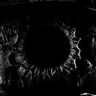 remp thumbnail