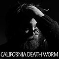 CALIFORNIA DEATH WORM image