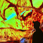 Wilken, Inc. thumbnail