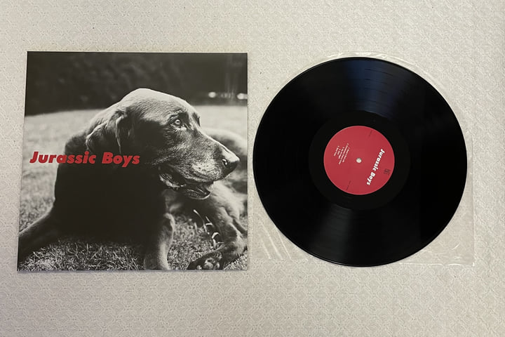 JURASSIC BOYS 自主制作CD 2枚セット 1枚欠け希少 廃盤 Jurassic Boys | Jurassic Boys | KiliKiliVilla