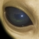DeepDwell thumbnail