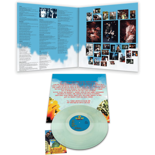 【新品未開封】【レコード】Blink-182 Buddha Blink182_Buddha1_GoldSignLPPla