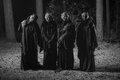Grima — Photo