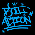 Bolt Action image