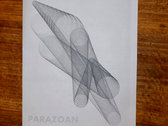 Parazoan Mapping 2 by Eric La Casa + Taku Unami photo 