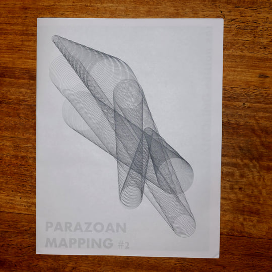 Parazoan Mapping 2 | Eric La Casa + Taku Unami | éric la casa