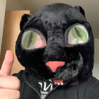 cpalmatier thumbnail