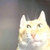 Diego J. thumbnail