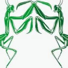 mantisonward thumbnail