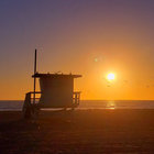 mcclane2020 thumbnail