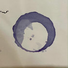 Word Dream Vanity thumbnail