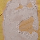 Posh Lice thumbnail