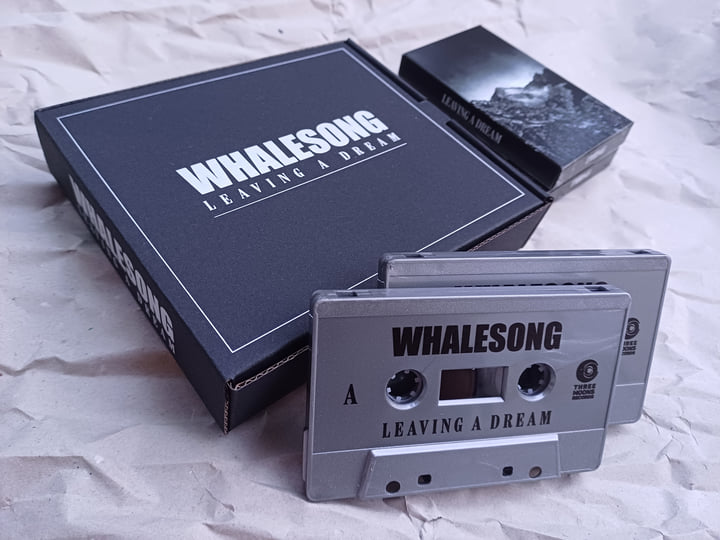 Leaving a Dream | Whalesong