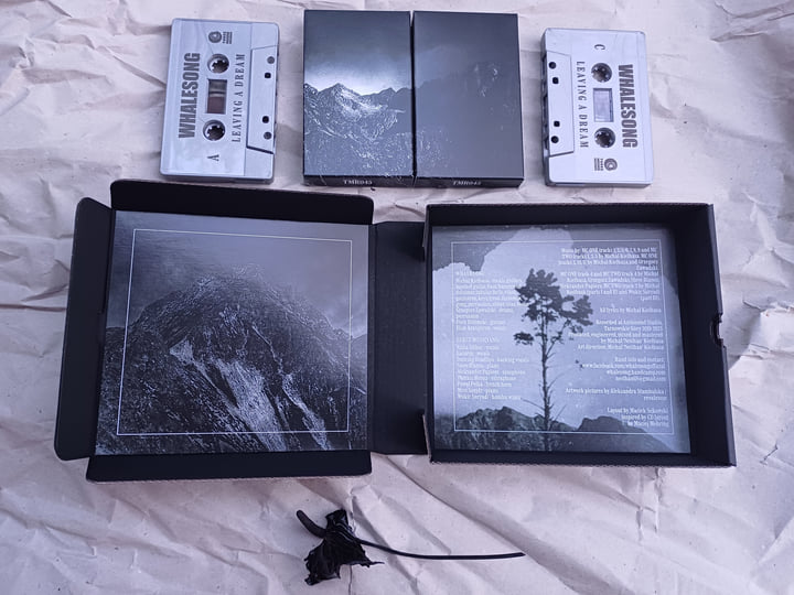 Leaving a Dream | Whalesong