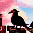 magpiery thumbnail