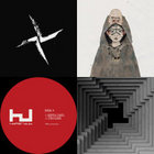 Recordings Of Music For Film | Vincent Gallo | Warp Records