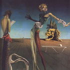 aerialroots thumbnail