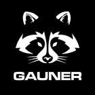 dj.gauner thumbnail