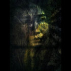 hedon_ thumbnail