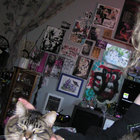 kitty! thumbnail