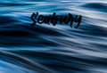 Seabury image