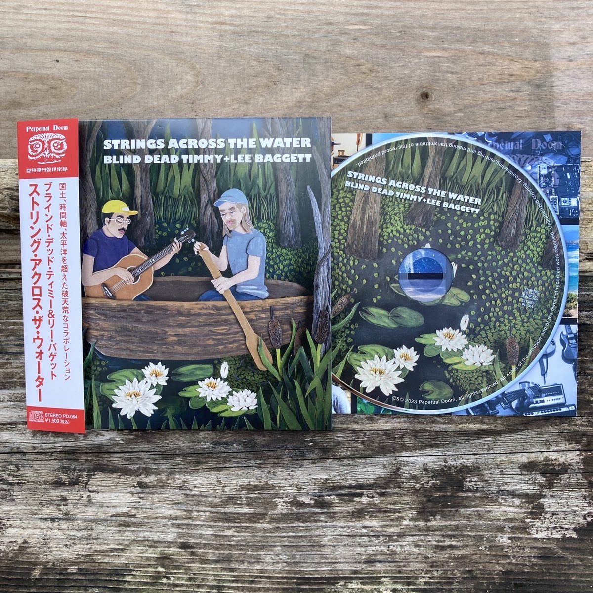 Strings Across The Water | Blind Dead Timmy + Lee Baggett