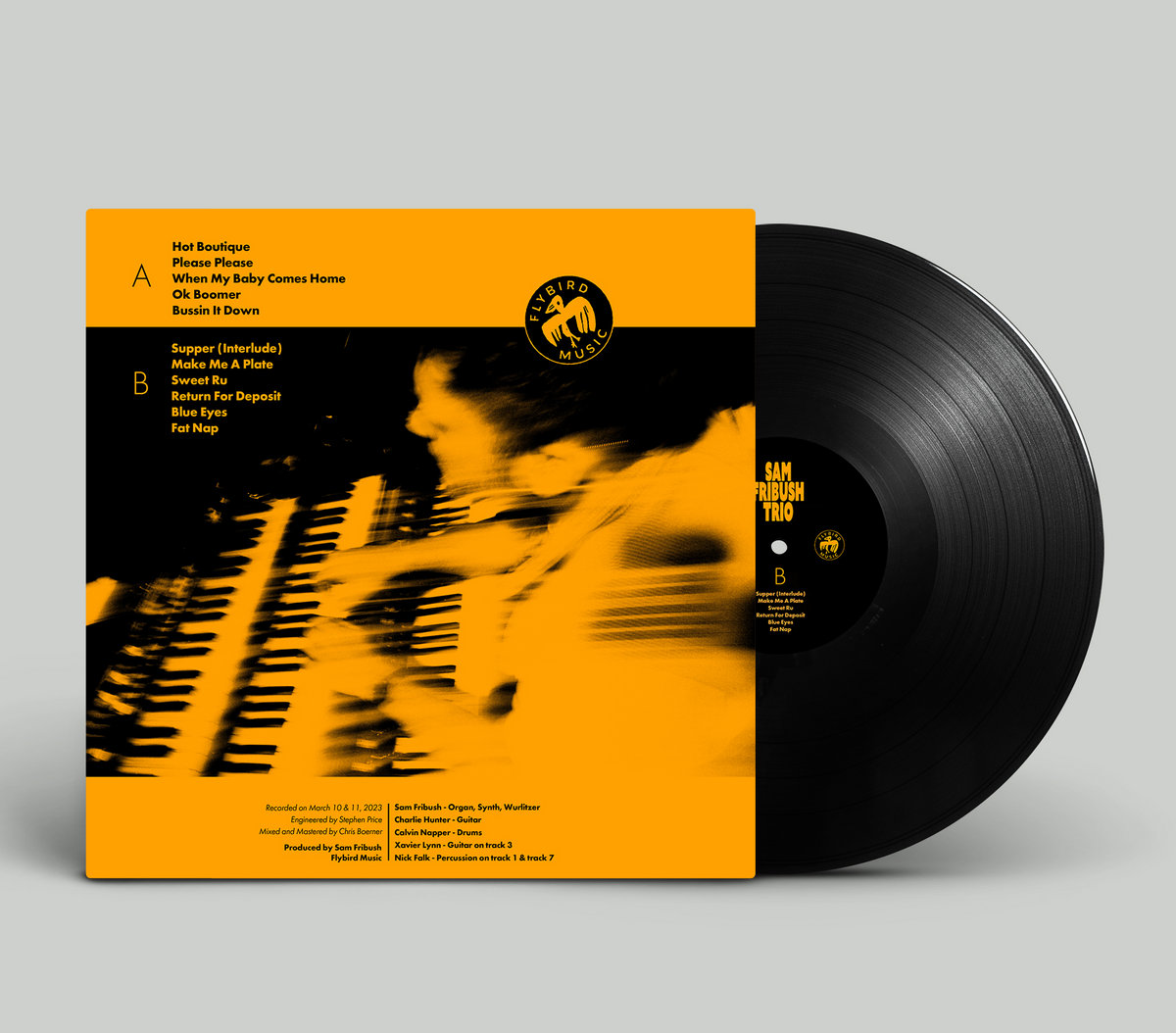 FLAP THE WINGS HIROSHI IRIE TRIO レコード　LP FLAP THE WINGS HIROSHI IRIE TRIO レコードLP