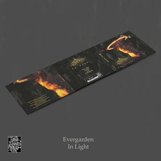 In Light | EVERGARDEN