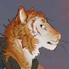 roth_1312 thumbnail