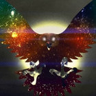 Blackforestdweller thumbnail