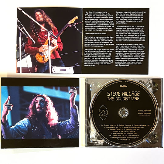 The Golden Vibe | Steve Hillage | The Steve Hillage Band