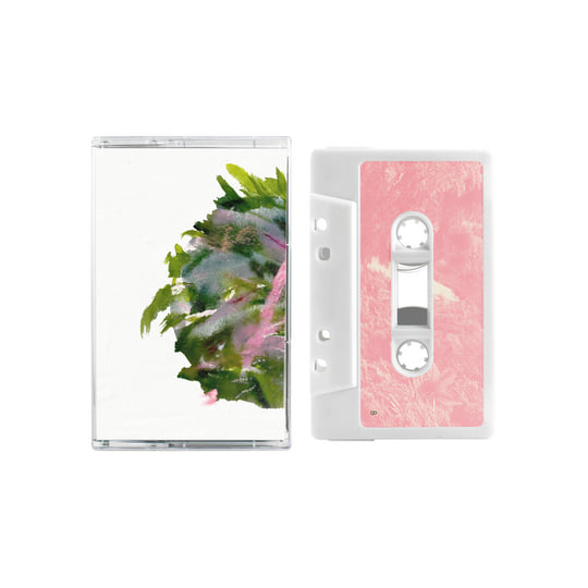 Forest Scenes | MIZU