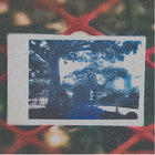deanbusoul thumbnail